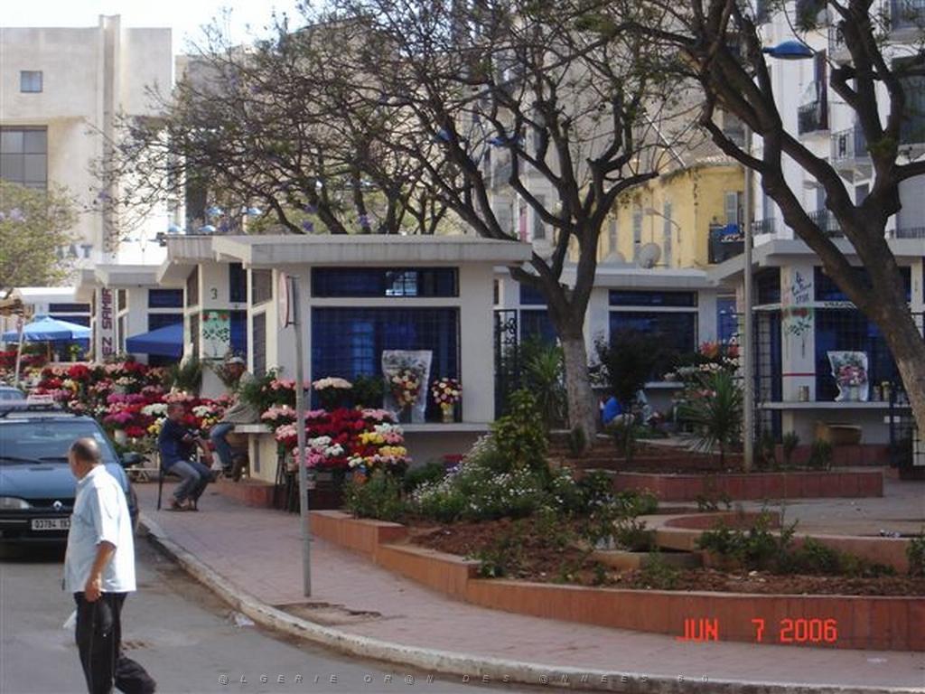 06 2006 ORAN PLACE HOCH.jpg